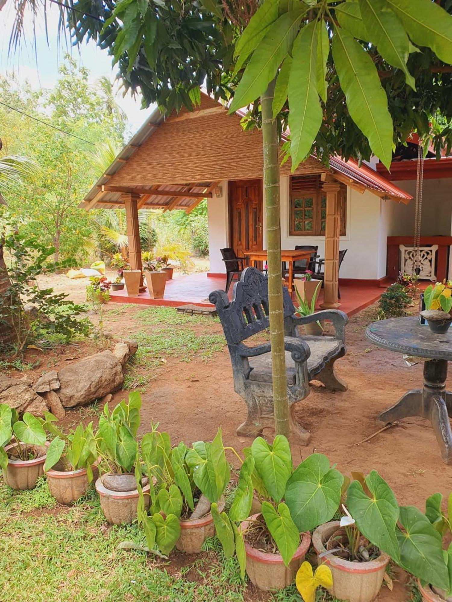 Jungle Eco Lodge & Safari Сигирия Екстериор снимка