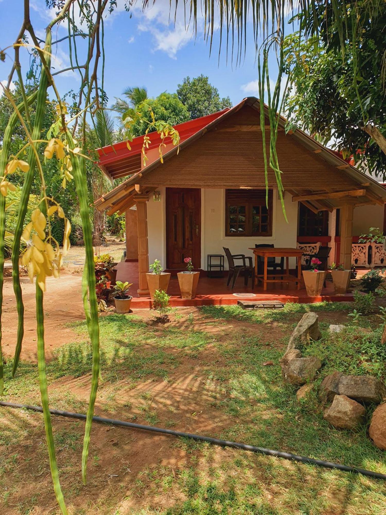 Jungle Eco Lodge & Safari Сигирия Екстериор снимка