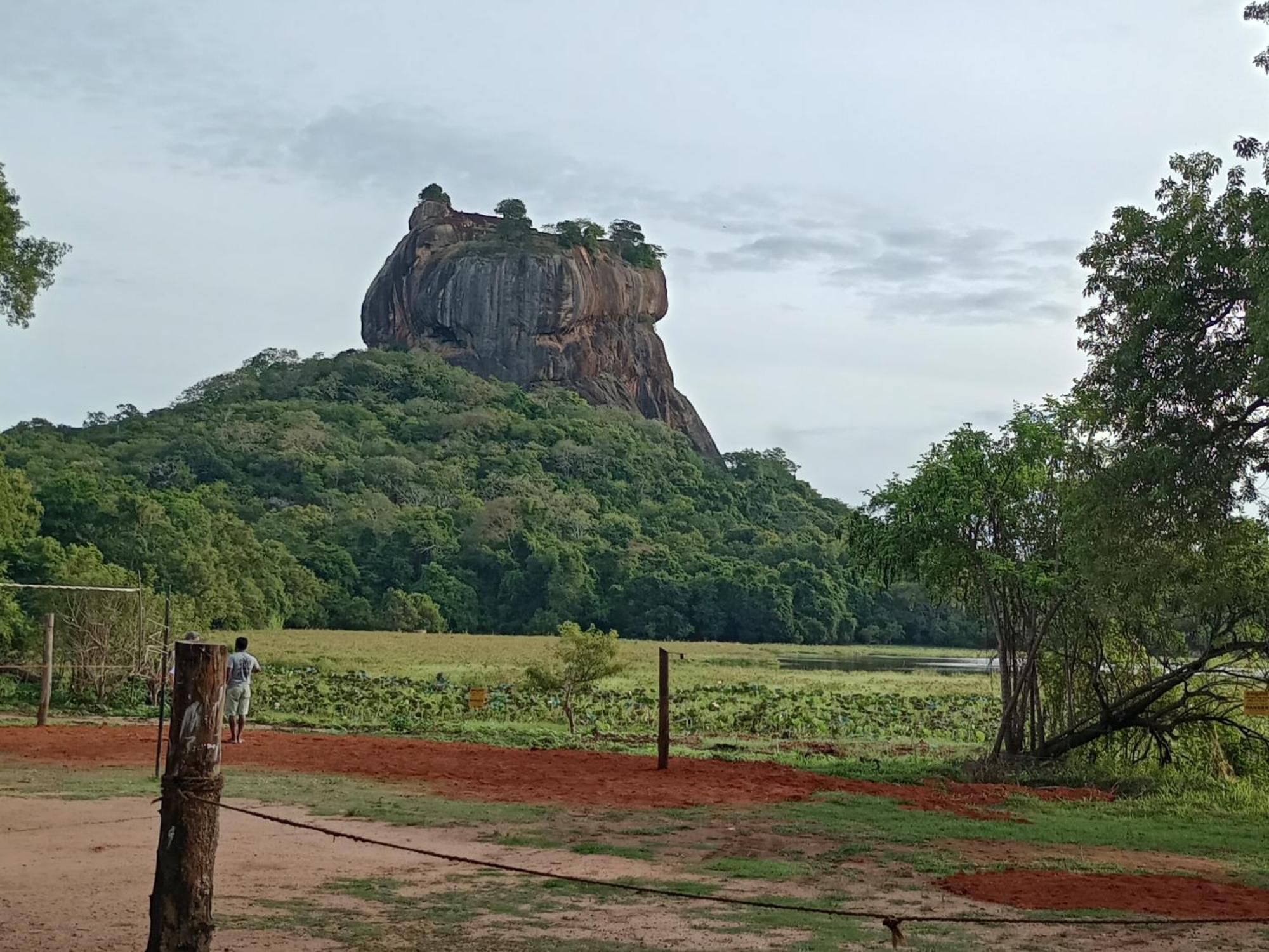 Jungle Eco Lodge & Safari Сигирия Екстериор снимка