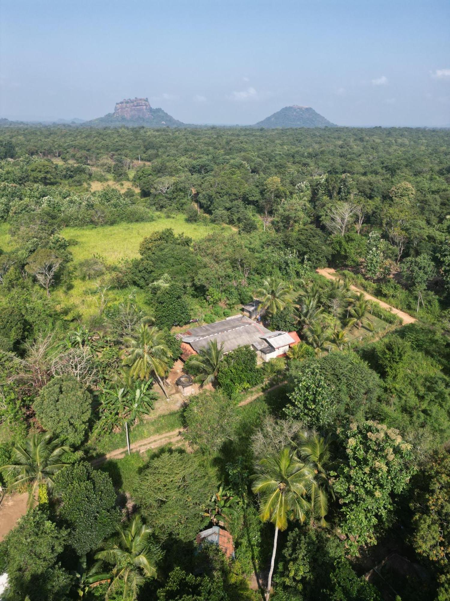 Jungle Eco Lodge & Safari Сигирия Екстериор снимка