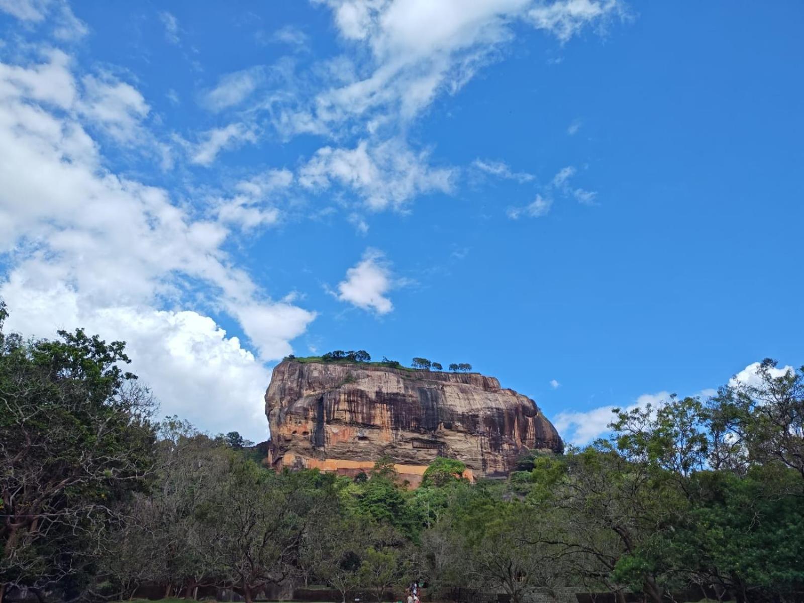 Jungle Eco Lodge & Safari Сигирия Екстериор снимка